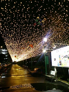 20071130205505.jpg
