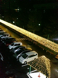 20071130215005.jpg