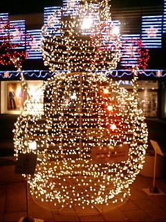 20071206210326.jpg
