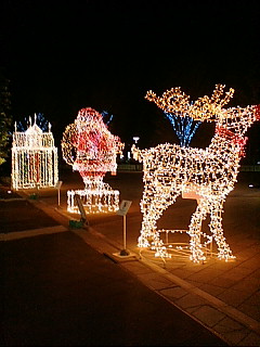 20071206210514.jpg