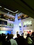 D1000244.jpg
