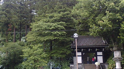 F1000101.jpg