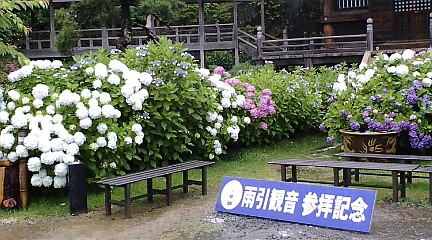 F1000090.jpg