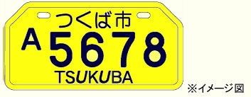 tsukuba90.jpg